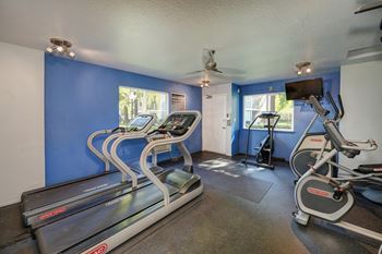 A gym with treadmills